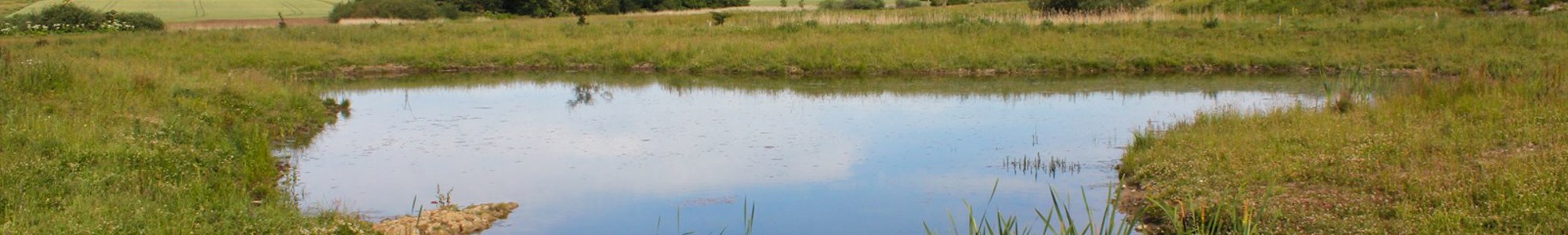 Regnvandsbassin NIRAS